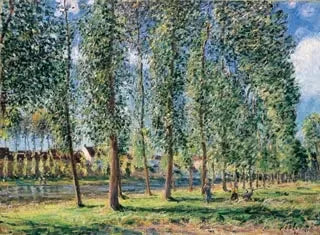 Rząd topoli w Moret - Alfred Sisley