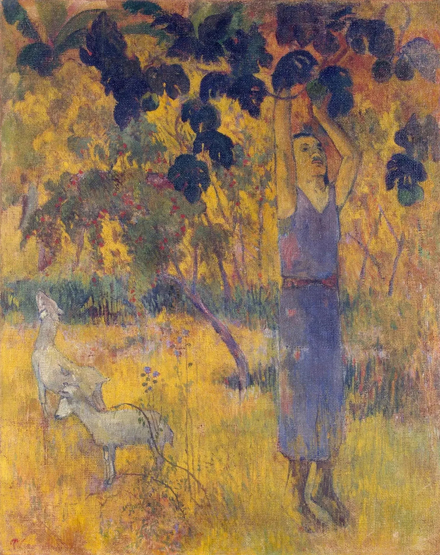 Zbiory, czyli Człowiek zbierający owoce - Paul Gauguin