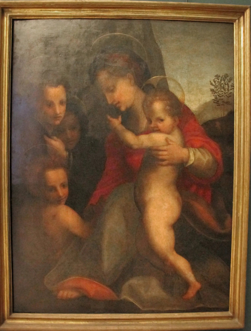 Matka Boska z Dzieciątkiem, Świętym Janem i aniołami - Andrea del Sarto