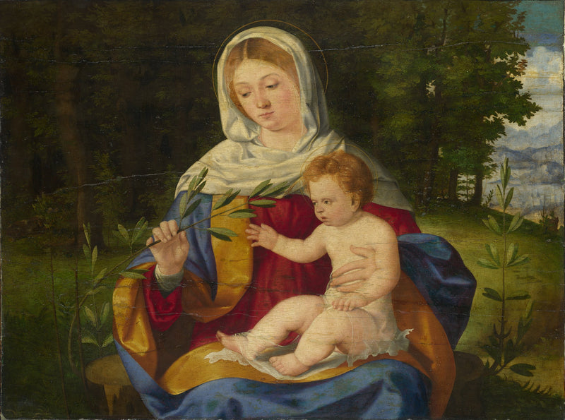 La Vierge à l'Enfant avec un rameau d'olivier - Andrea Previtali