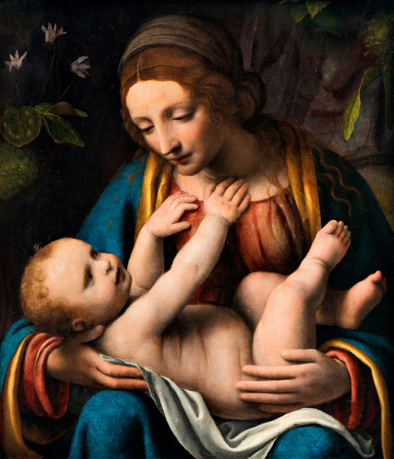 Matka Boska z Dzieciątkiem - Bernardino Luini