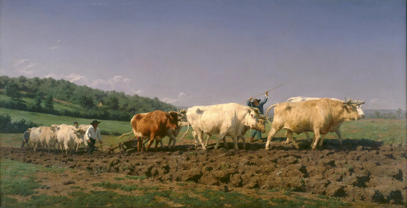Orkaż Nivernais - Rosa Bonheur