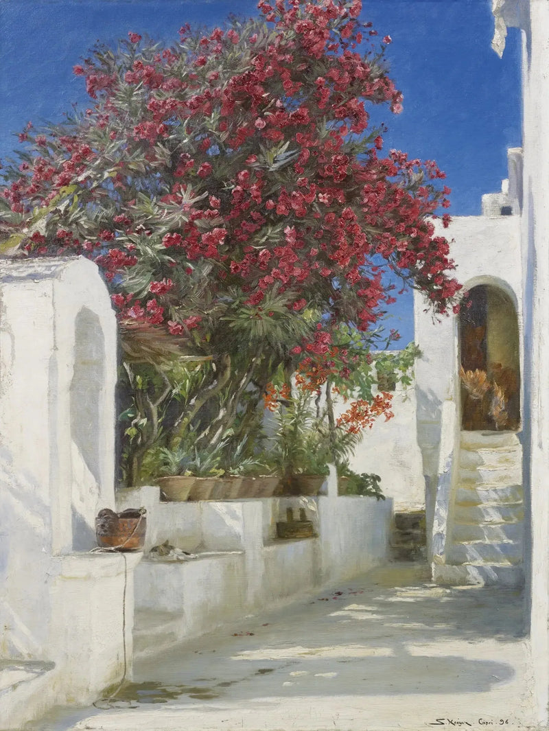 Róże laurów w kwiatach, Capri - Peder Severin Krøyer