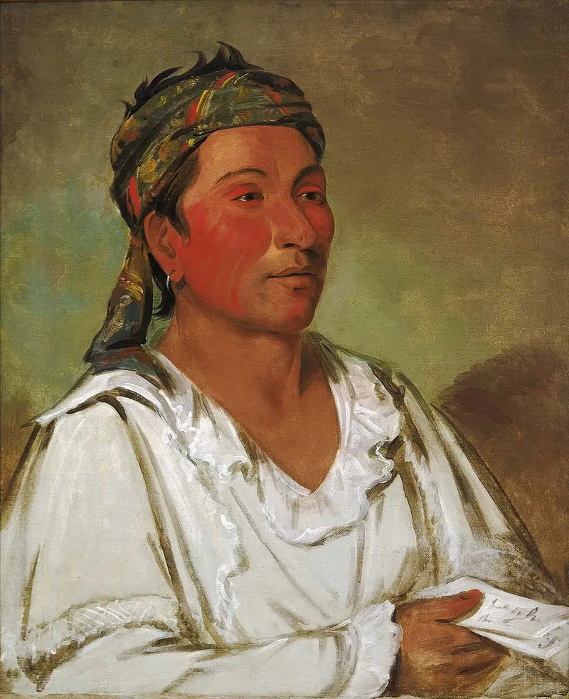 Lay-lóo-ah-pee-ái-shee-kaw, zioło, krzew i kwiat, półcywilizowany - George Catlin
