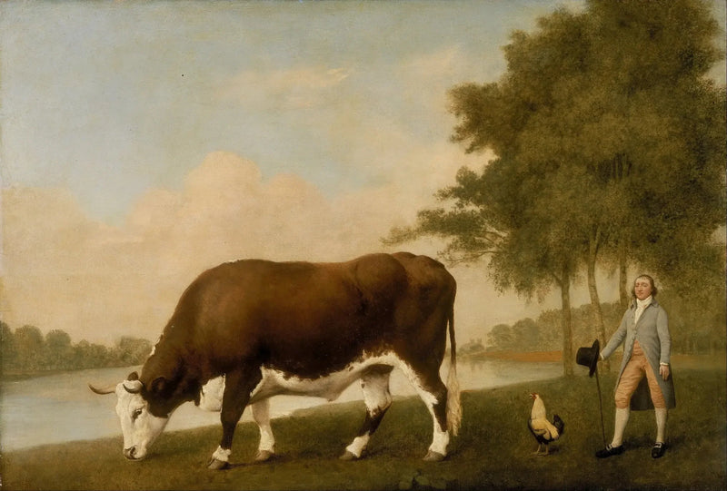 Wołowina z Lincolnshire - George Stubbs