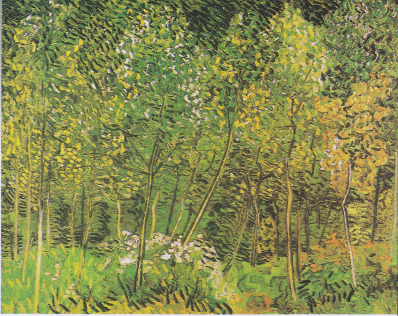 Gaj - Vincent van Gogh