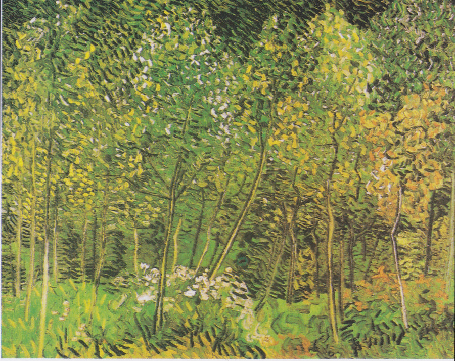 Gaj - Vincent van Gogh