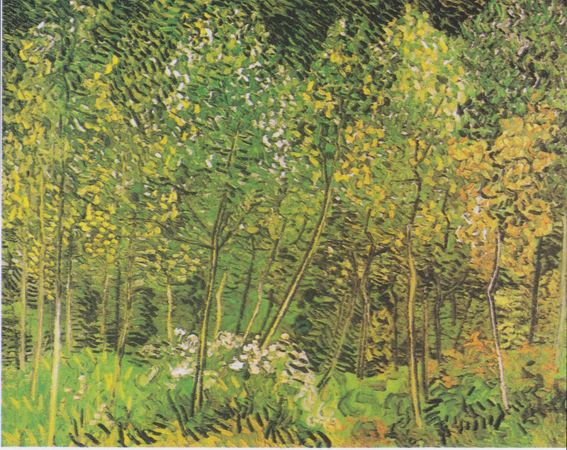 Gaj - Vincent van Gogh