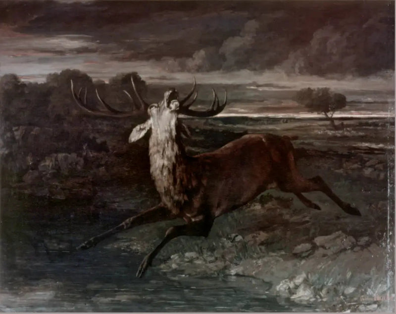 Jeleń przy wodzie - Gustave Courbet