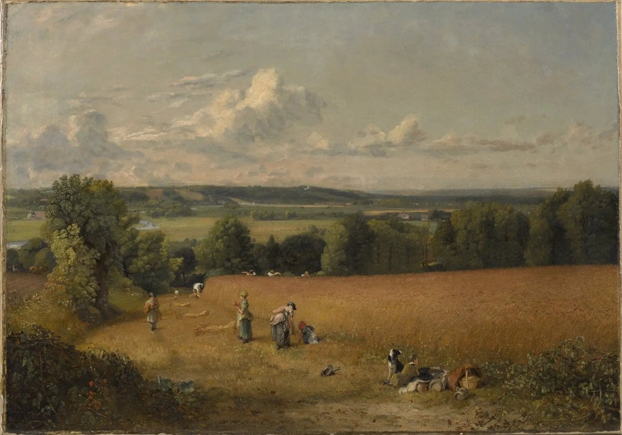 Pole pszenicy - John Constable