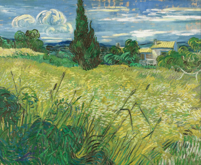 Zielone pole pszenicy z cyprysami - Vincent van Gogh