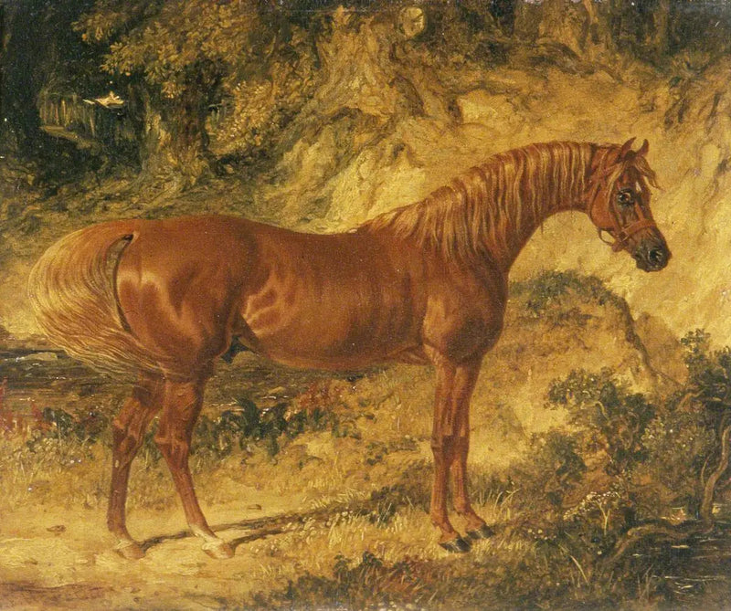 Wyścigowy koń „Actéon” - John Frederick Herring, Sr.