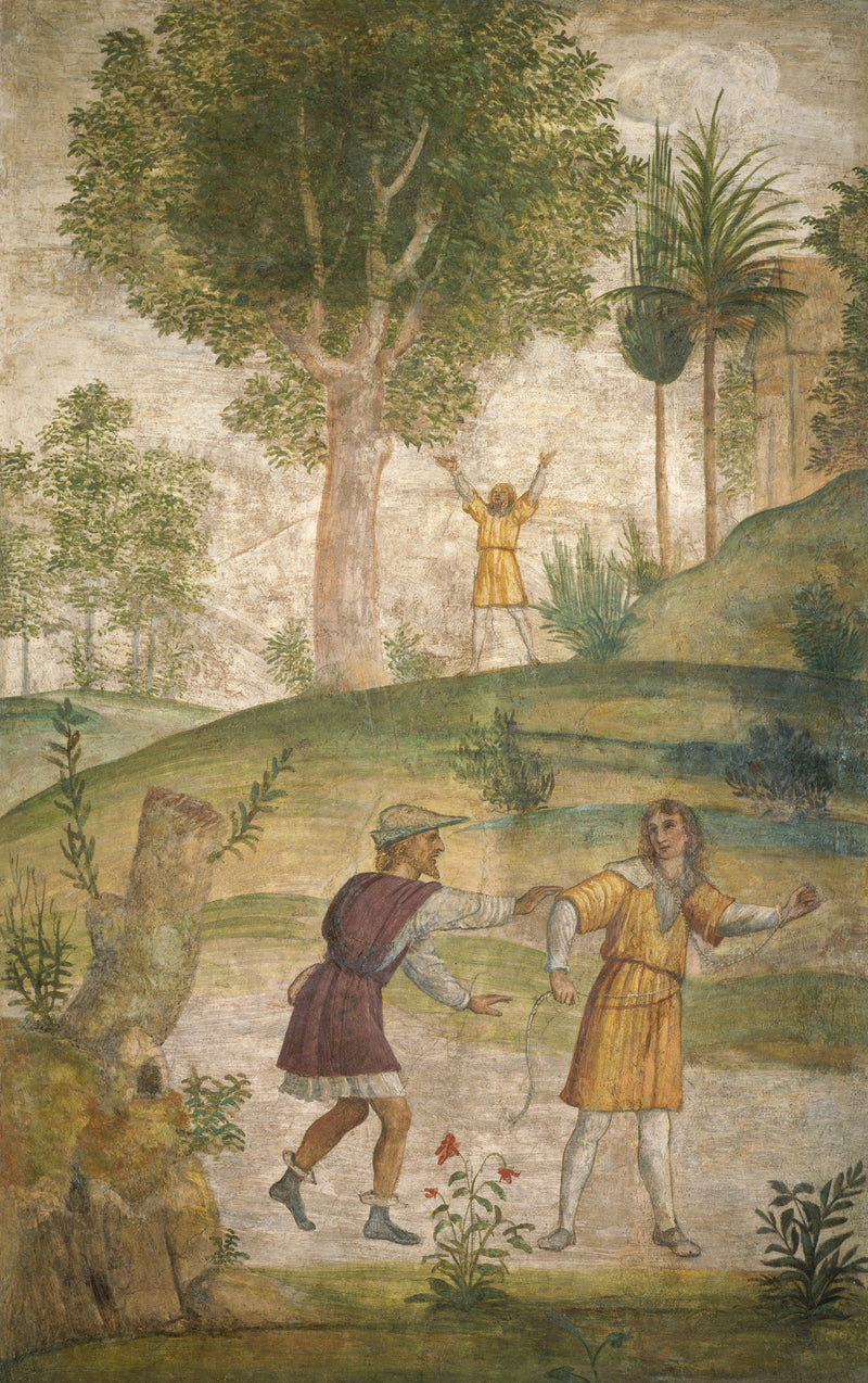 Rozpacz Cepheusa - Bernardino Luini