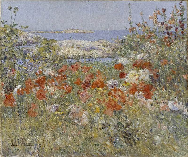 Ogród Cecilii Thaxter, Wyspy Shoals, Maine - Childe Hassam