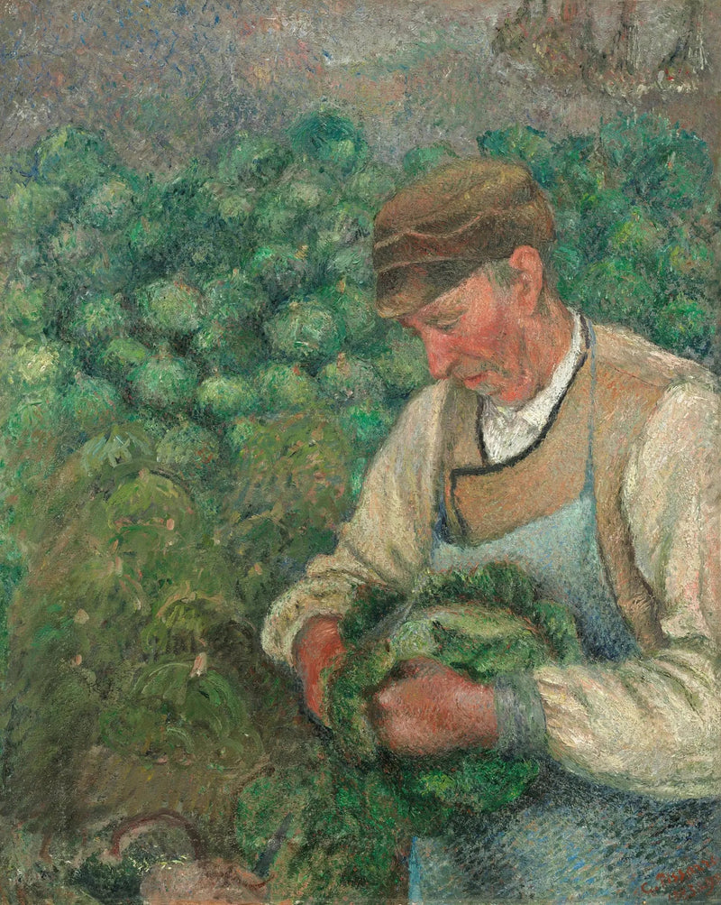 Ogrodnik - Stary Chłop przy Kapuście - Camille Pissarro