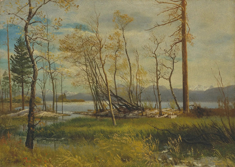 Jezioro Tahoe - Albert Bierstadt