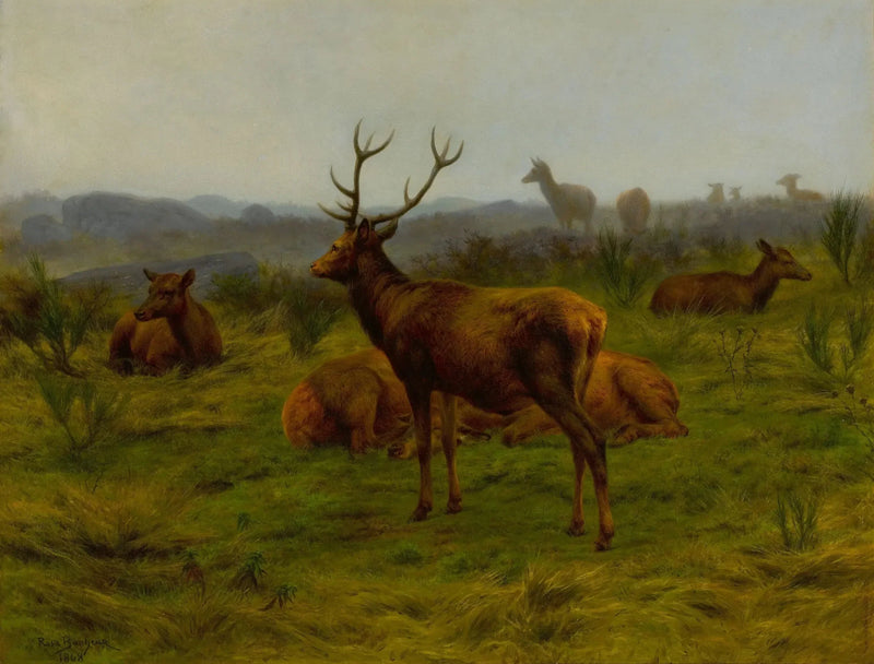 Monarcha watahy - Rosa Bonheur