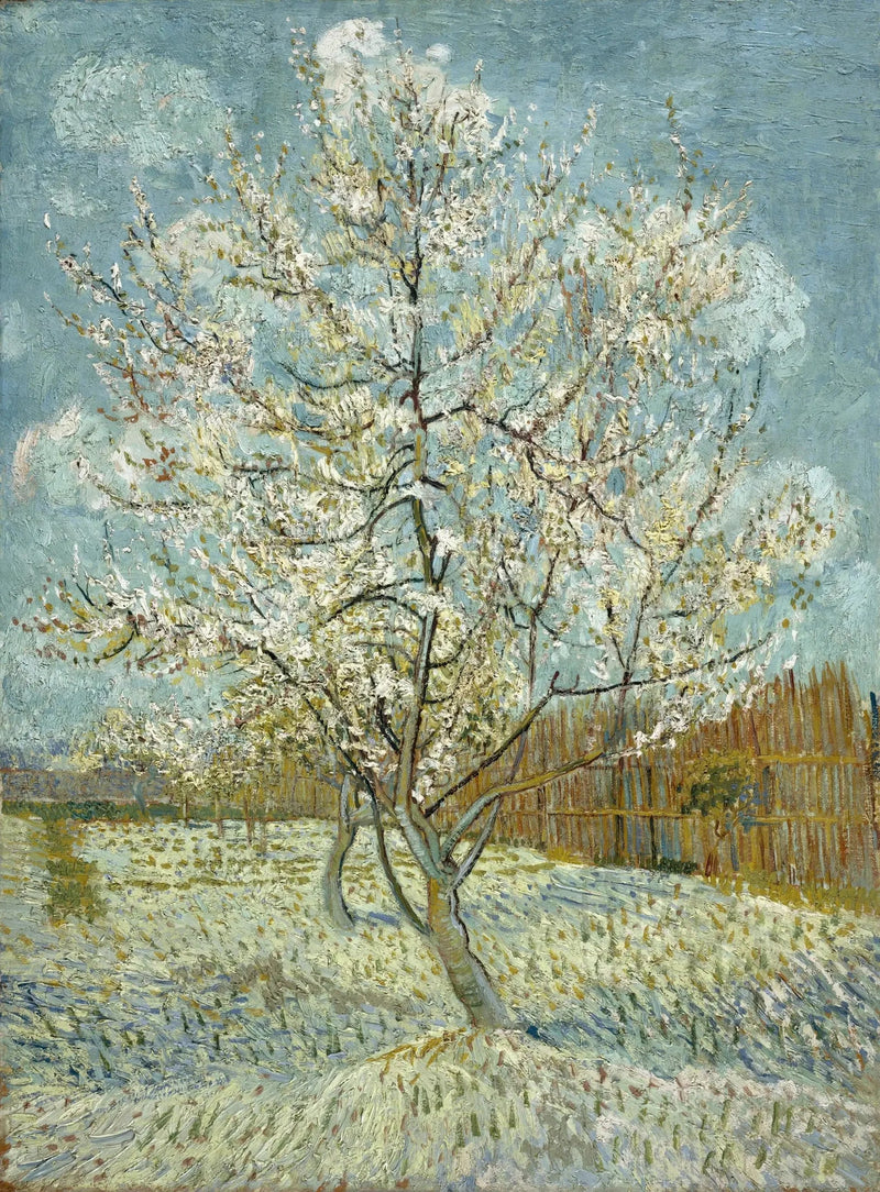 Brzoskwinia różowa - Vincent van Gogh