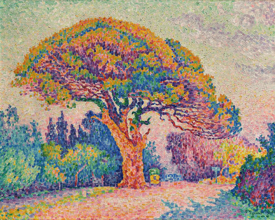 Sosna Bertaud - Paul Signac