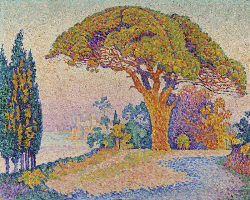 Sosna Bertaud - Paul Signac