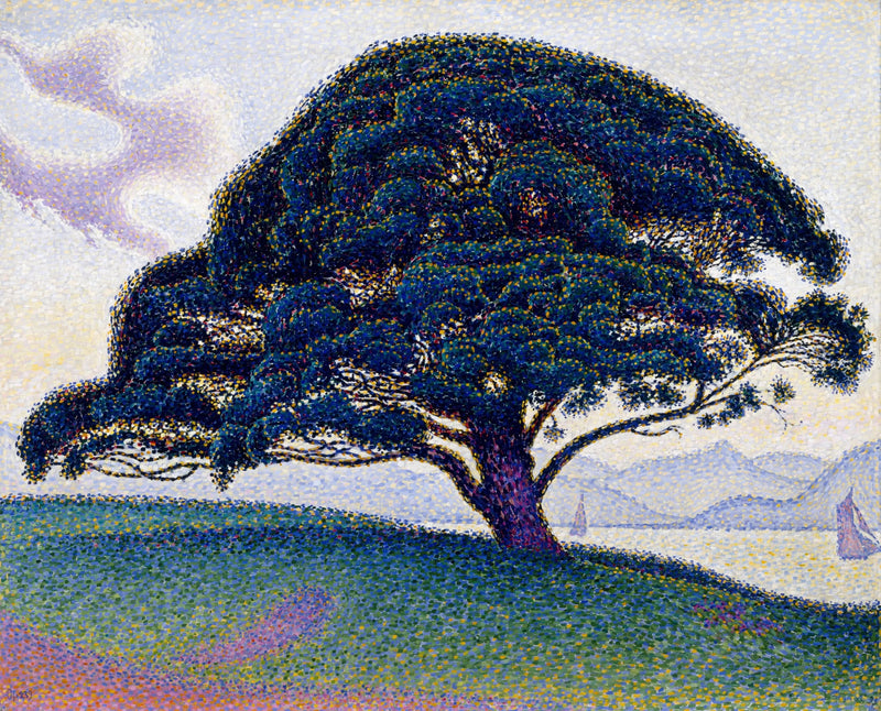 Sosna Bonawentury - Paul Signac
