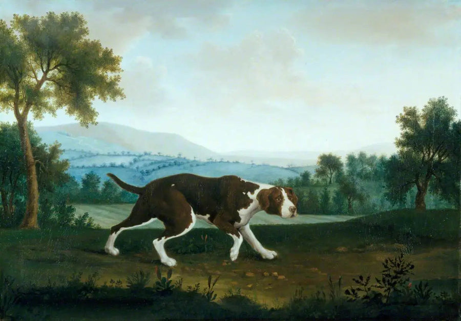 Hiszpański wskaźnik - George Stubbs