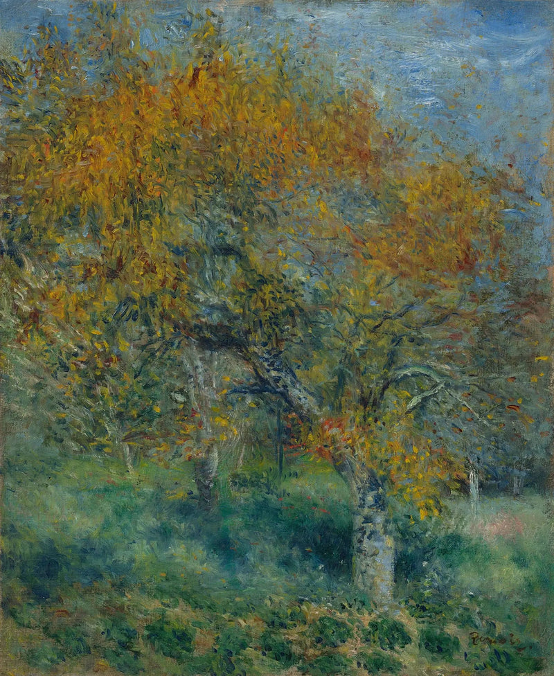 Grusza - Pierre-Auguste Renoir