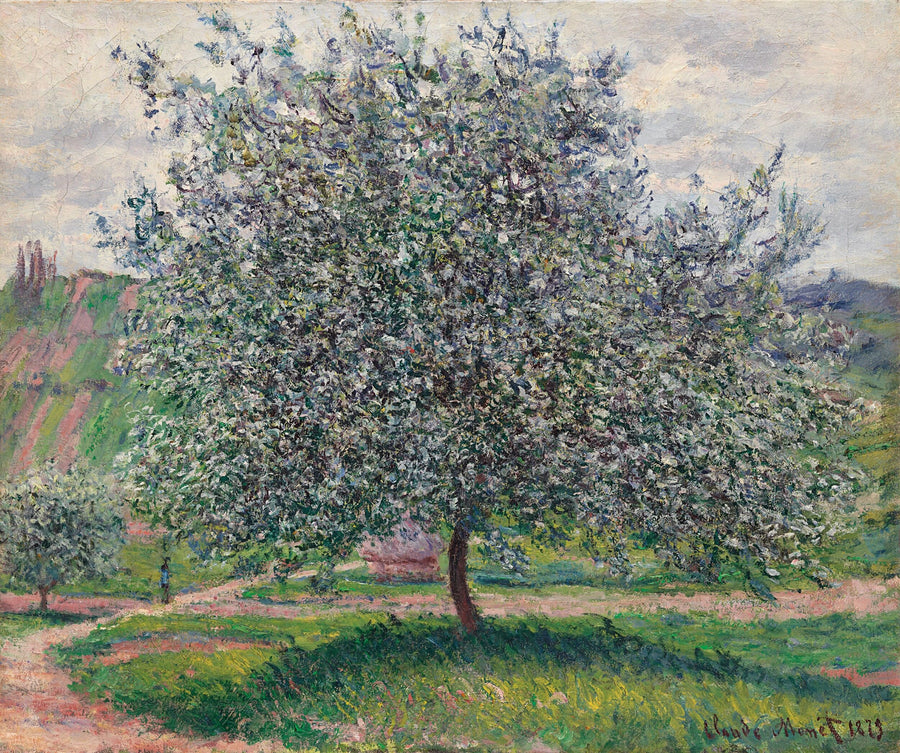 Jabłoń W523 - Claude Monet