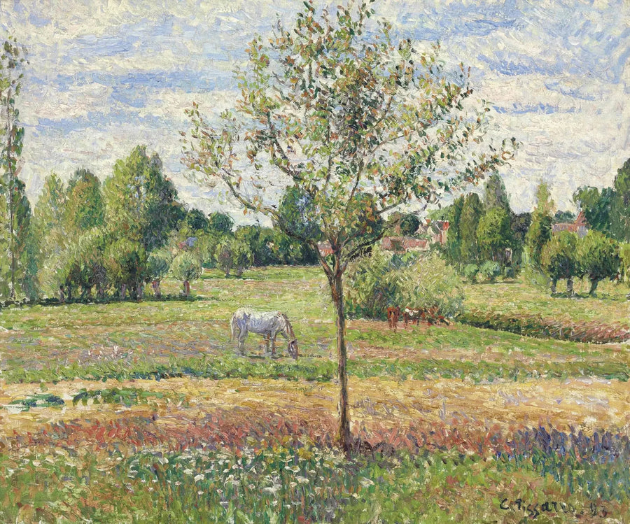 Łąka z Szarym Koniem, Éragny - Camille Pissarro