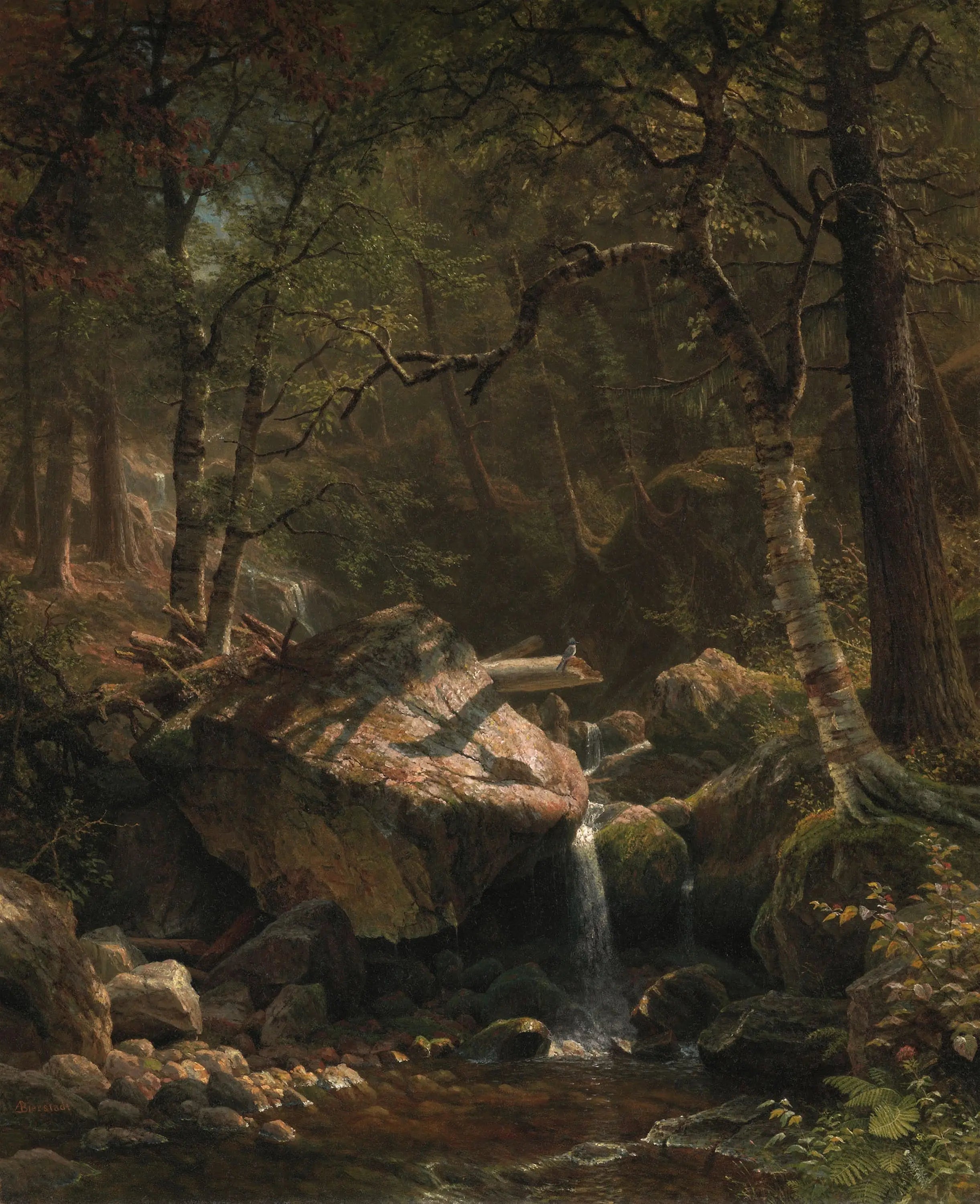 Le ruisseau de montagne - Albert Bierstadt image 1 reproduction réalisée par Alpha Reproduction