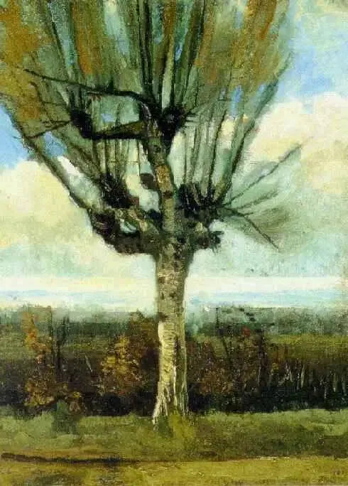 Wierzba - Vincent van Gogh