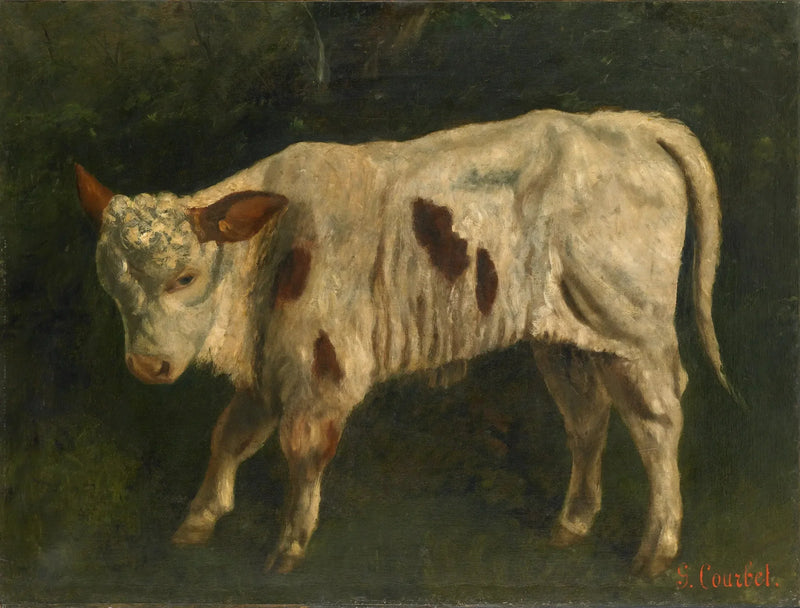 Biały cielak - Gustave Courbet