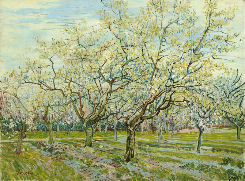 Biały sad - Vincent van Gogh