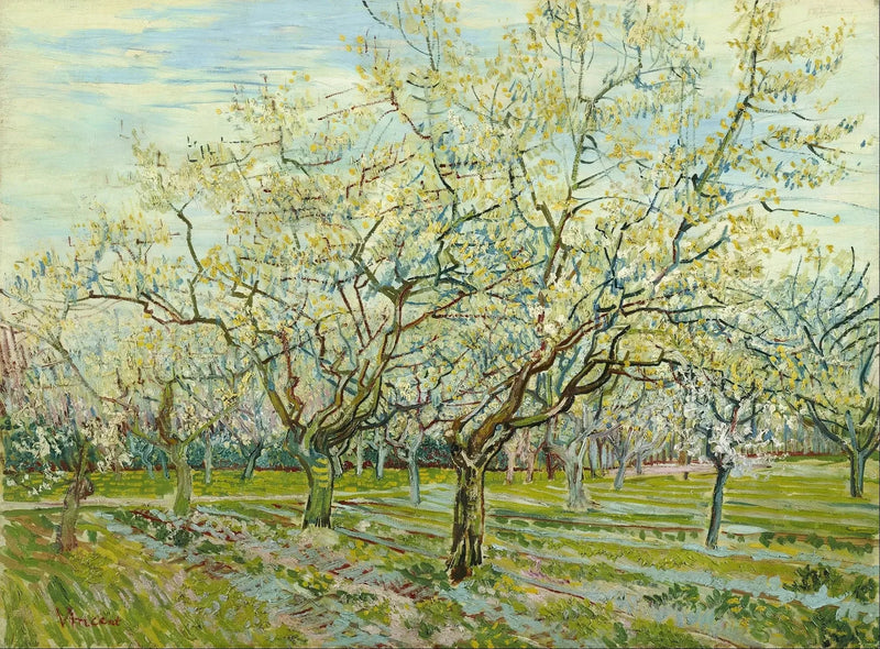 Biały sad - Vincent van Gogh