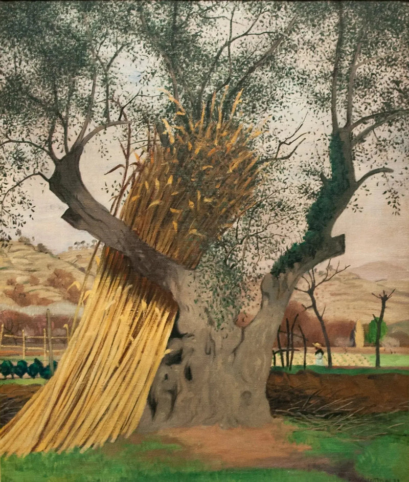 Stary Oliwka - Félix Vallotton