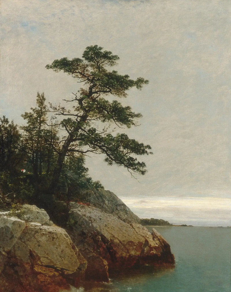 Stary sosna, Darien, Connecticut - John Frederick Kensett