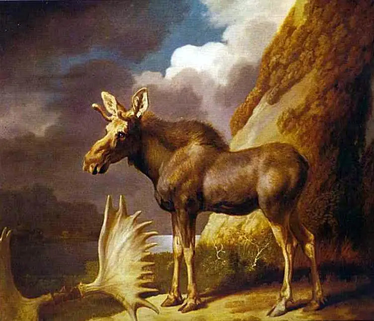 Elan - George Stubbs