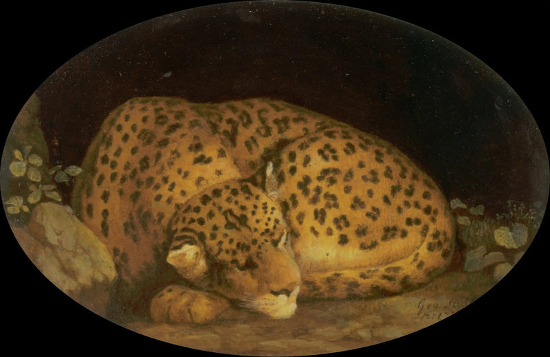 Śpiący gepard - George Stubbs