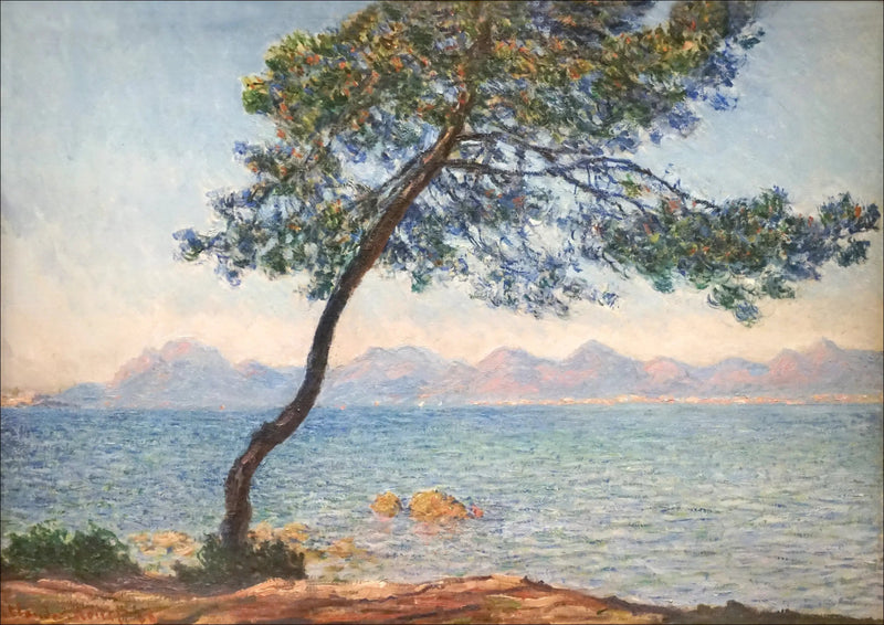 Antybakteryjne - Claude Monet