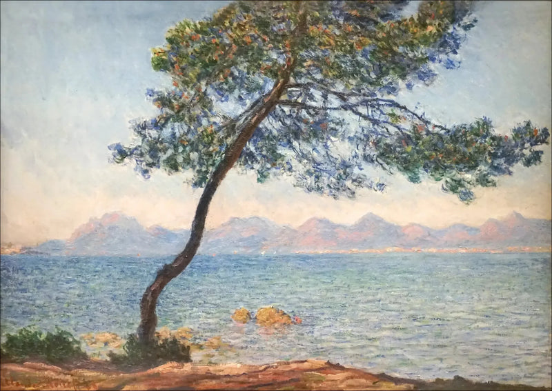 Antybakteryjne - Claude Monet