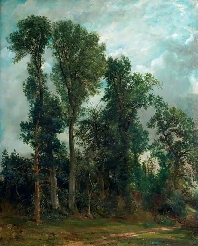 Drzewa Hampstead: Droga do kościoła - John Constable