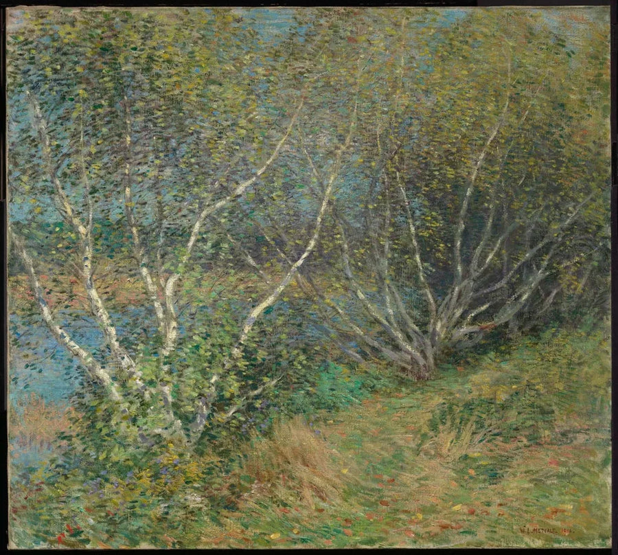 Brzozy - Willard Metcalf