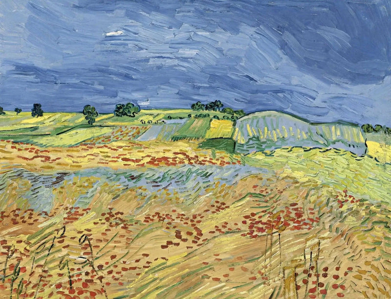Pola - Vincent van Gogh
