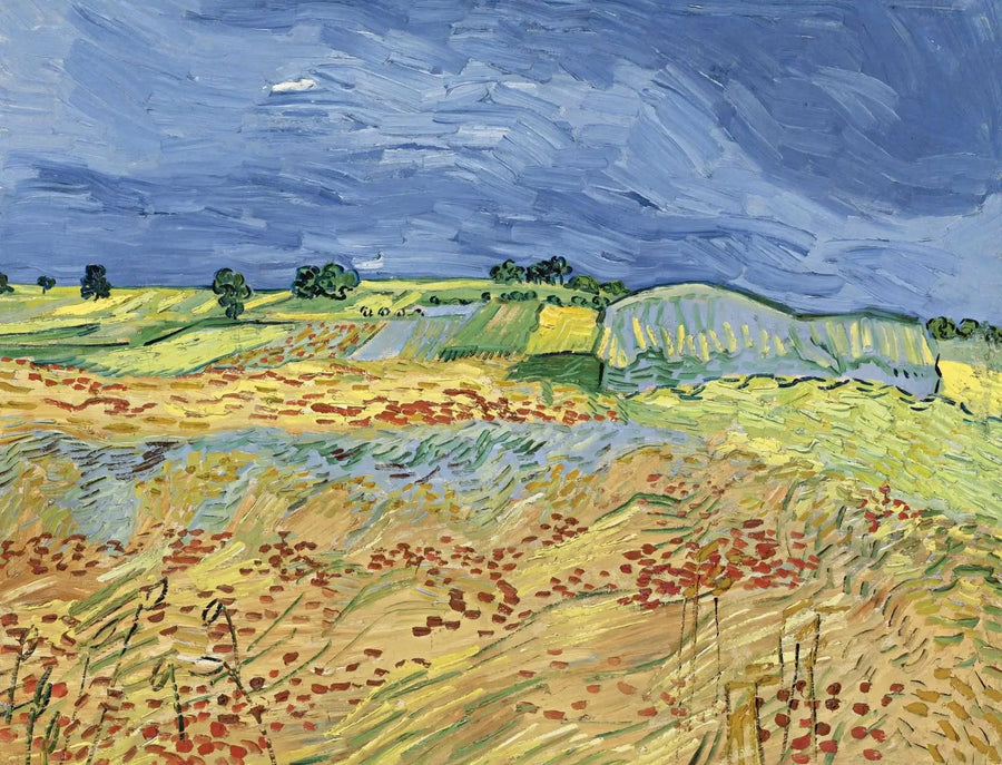 Pola - Vincent van Gogh