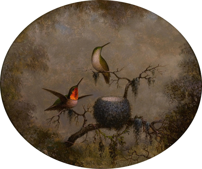 Kolibry i ich gniazdo - Martin Johnson Heade