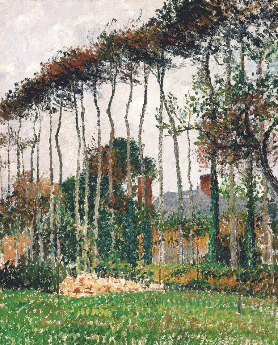 Wielkie buki w Varengeville - Camille Pissarro