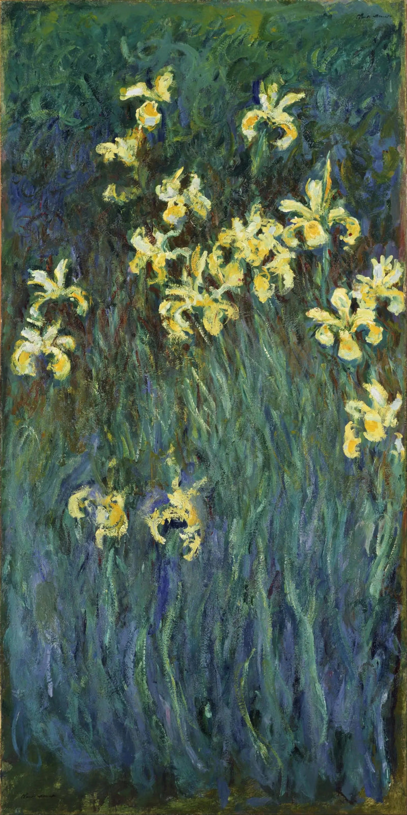 Żółte irysy - Claude Monet