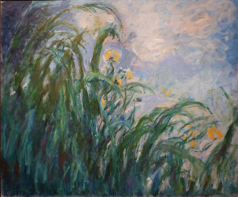Żółte irysy - Claude Monet