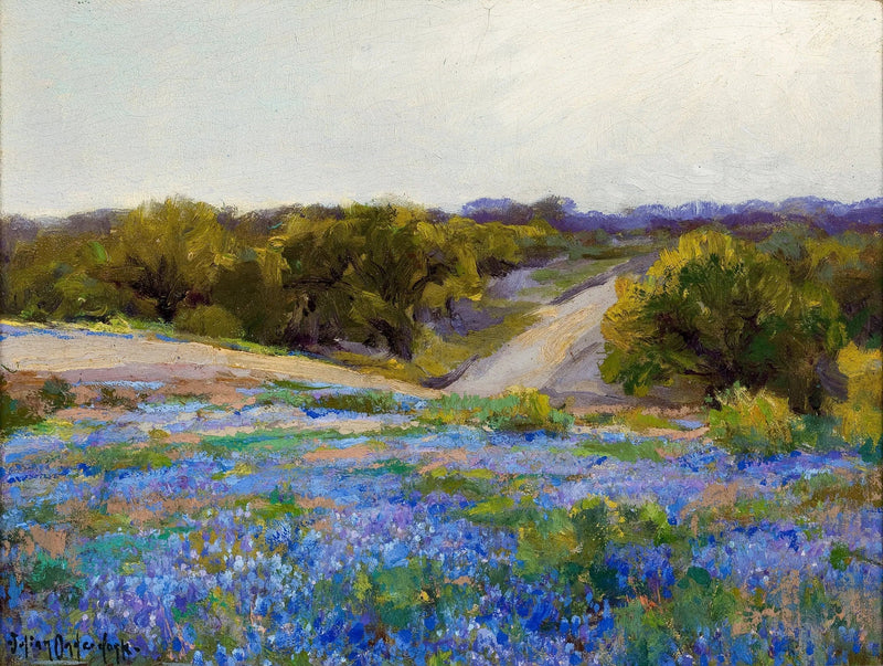 Niebieskie lupiny pod koniec popołudnia - Julian Onderdonk