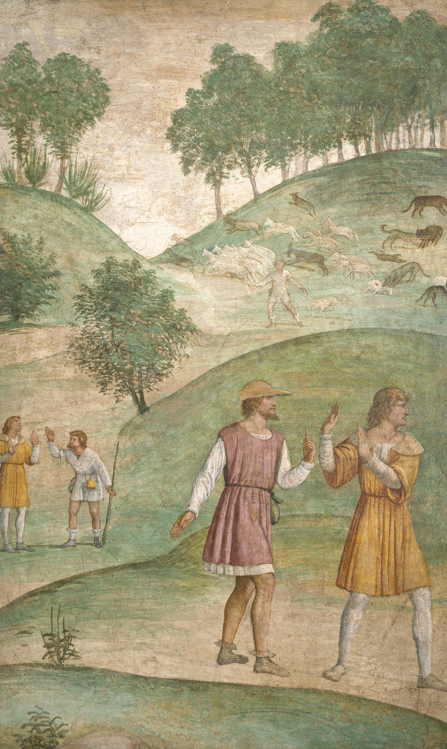 Nieszczęścia Cepale - Bernardino Luini